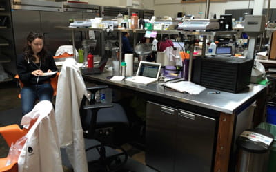 hampton creek office 09