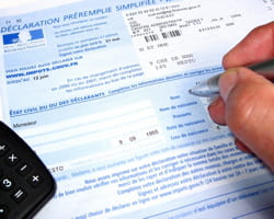 quelles sont les niches fiscales les plus utilisées ?