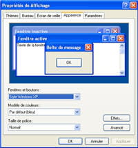 le menu affichage sous windows pour régler les thèmes et les couleurs de son