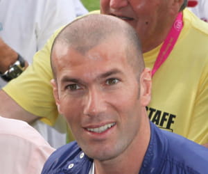 zinédine zidane reste le joueur chouchou des français... et des marques.