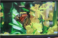 exemple d'images haute définition sur l'acer t230h