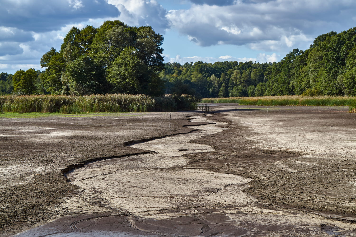 Monique Barbut propose de mobiliser 10 milliards d'euros du Livret A pour l'adaptation au changement climatique