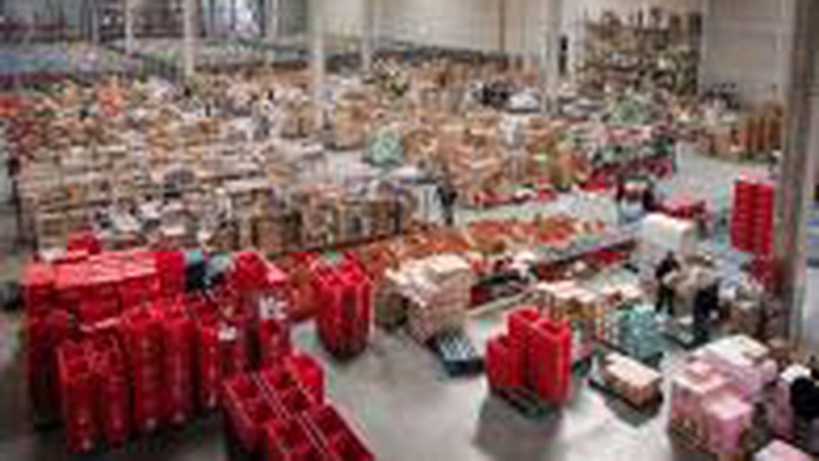 Une surface de 16 000 m²