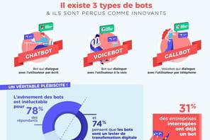 Le chatbot reste le bot le plus pl&eacute;biscit&eacute; par les entreprises