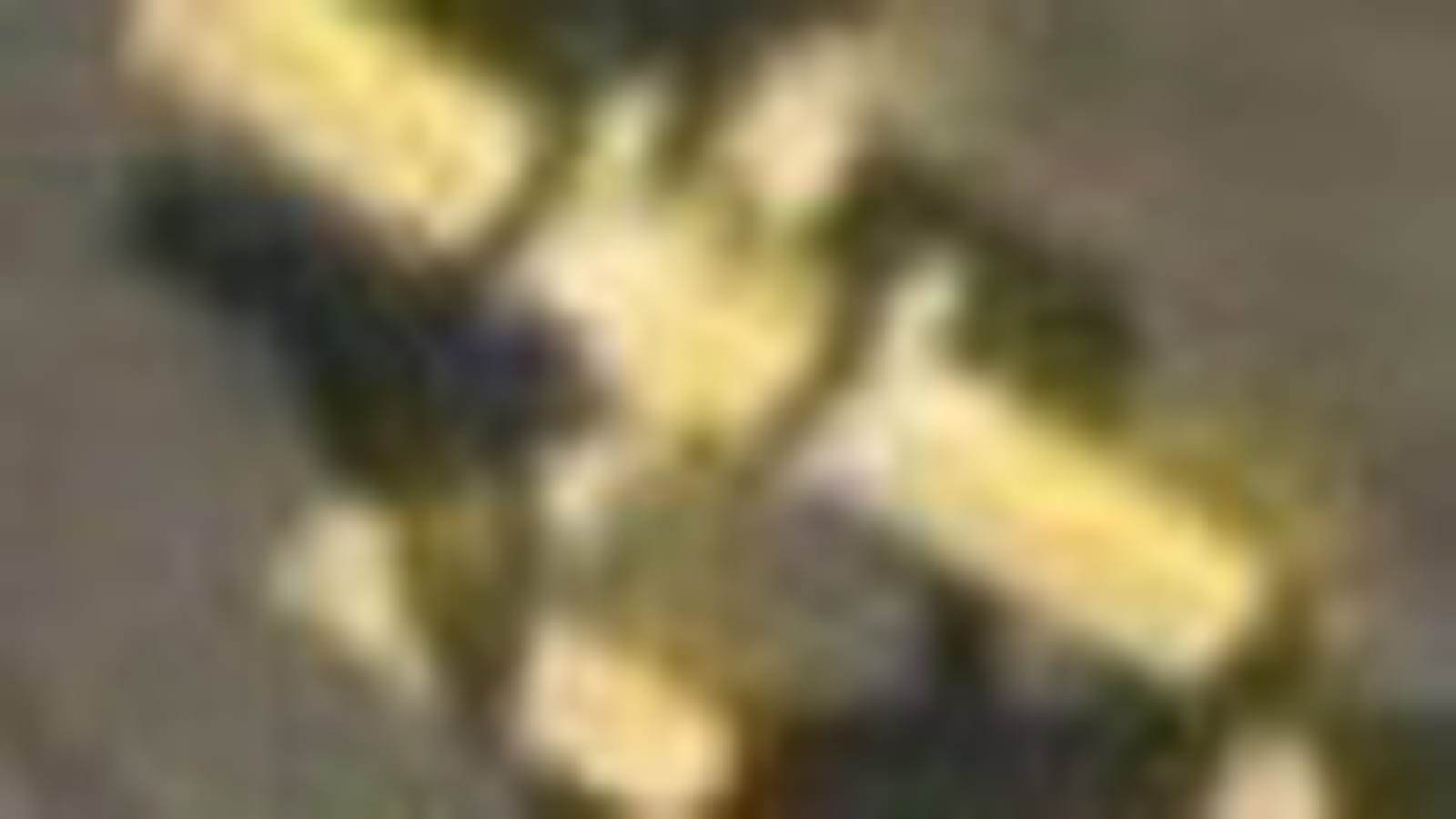 Canadairs