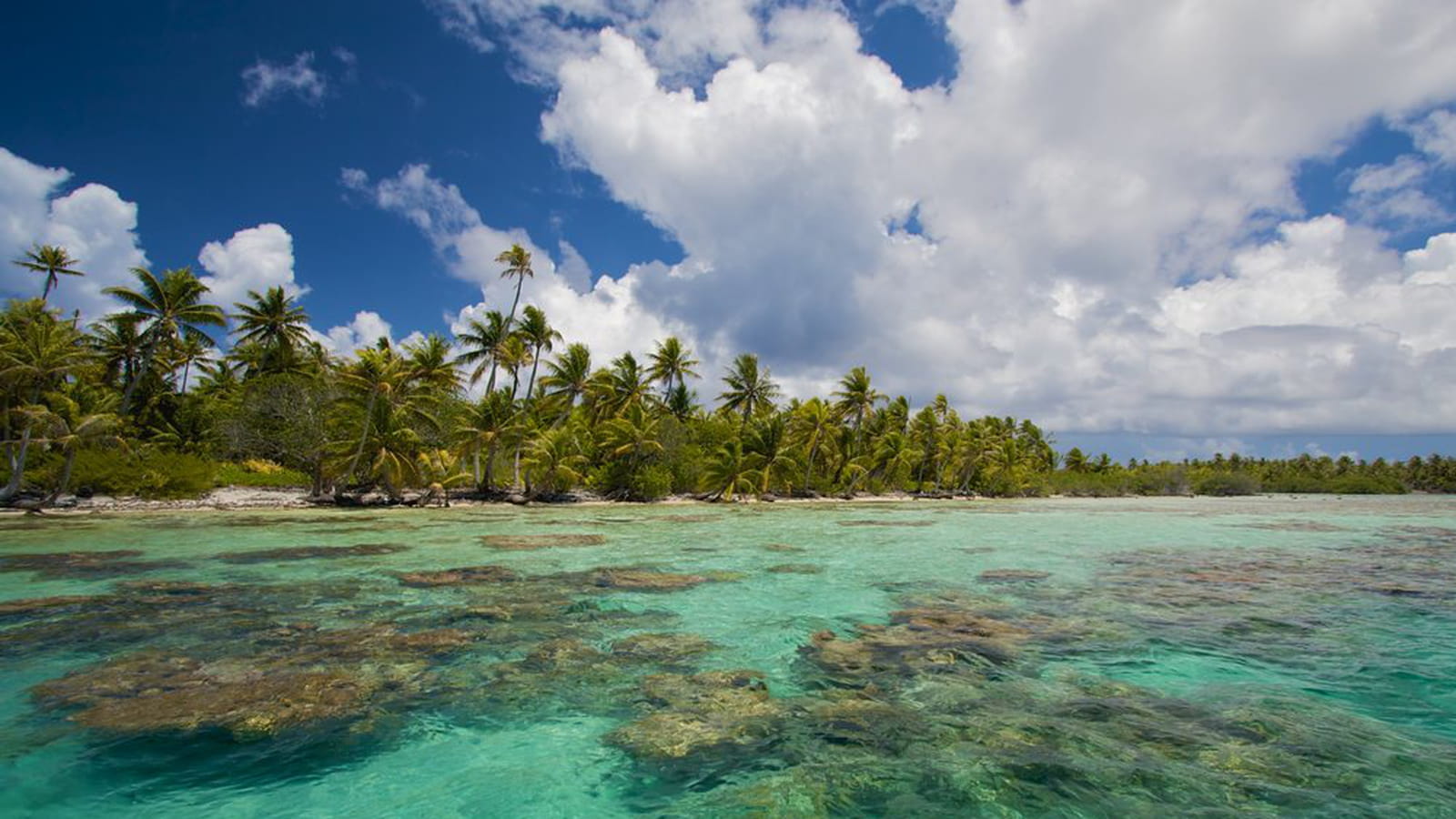 Ahe Atoll Motu