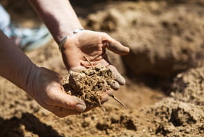 Il d&eacute;couvre des ossements dans son jardin, ce sont les restes d'un monstre de dix m&egrave;tres de long