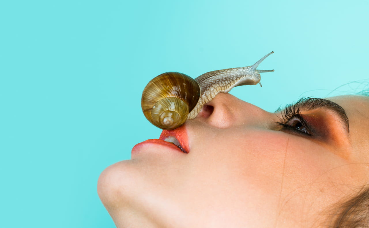 La bave d'escargot, ce truc dégoûtant, est en réalité un trésor pour la peau : cette marque française le prouve