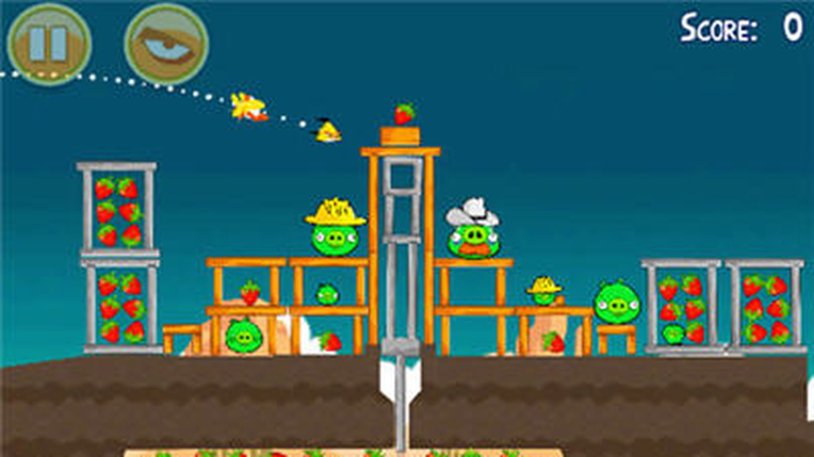 Angry birds