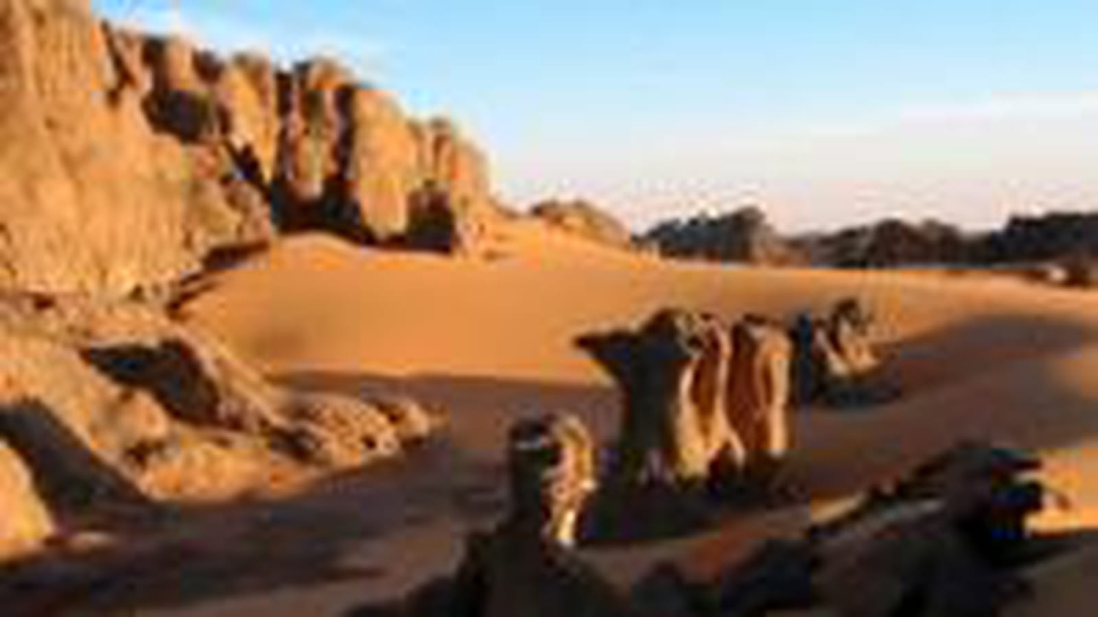Algérie