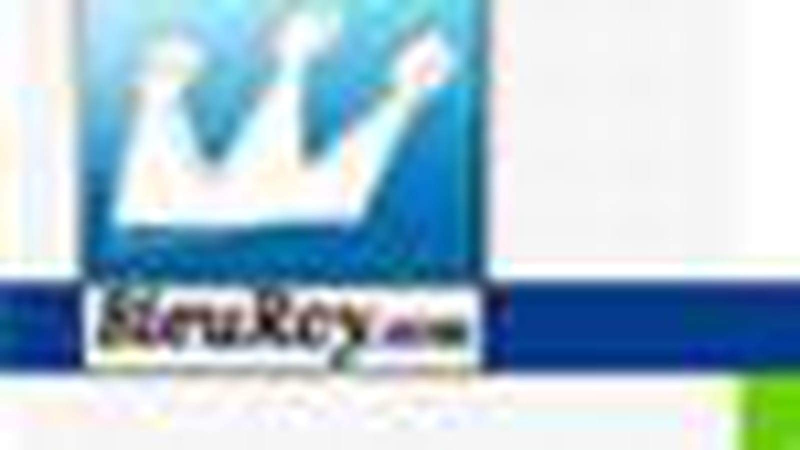 BleuRoy.com