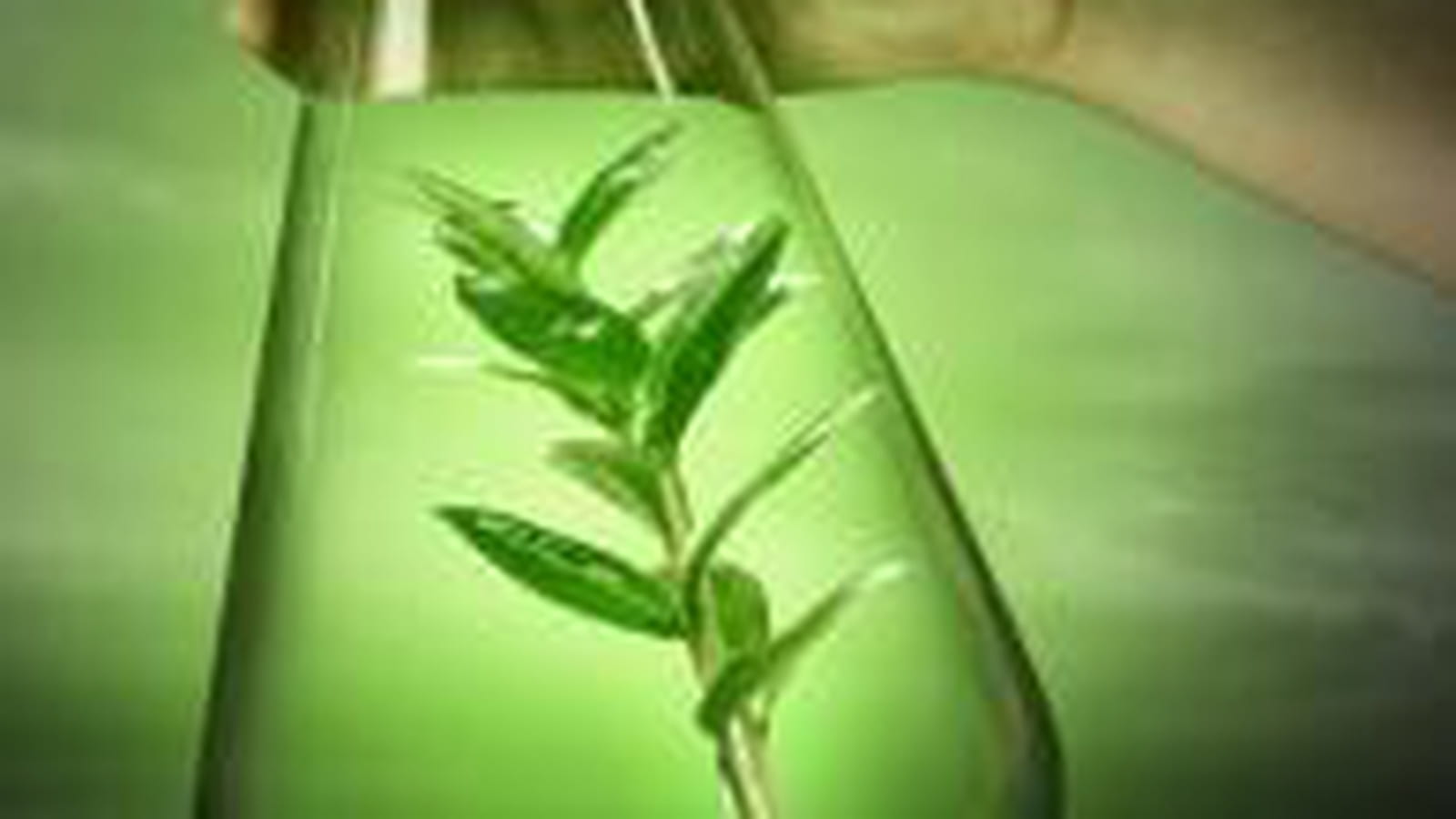 Chimie verte