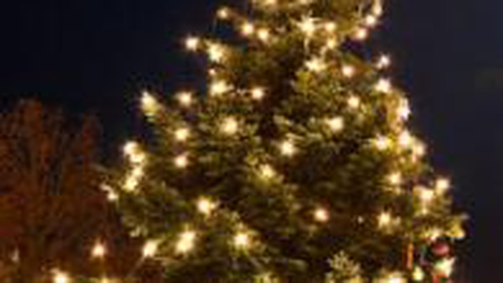 Arbre de Noël