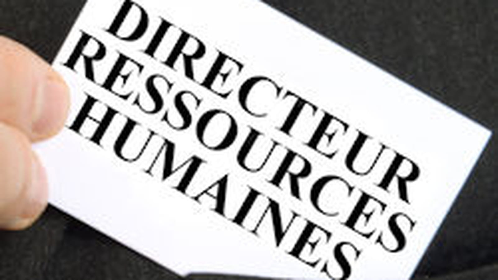 Directeur des Ressources Humaines