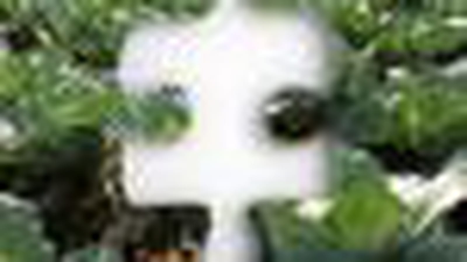Sommaire
