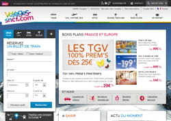 selon la fevad, voyages-sncf.com est le 7e site d'e-commerce en france en