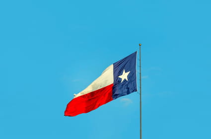 Les &eacute;lecteurs texans commencent &agrave; voter en avance pour des scrutins d&eacute;cisifs