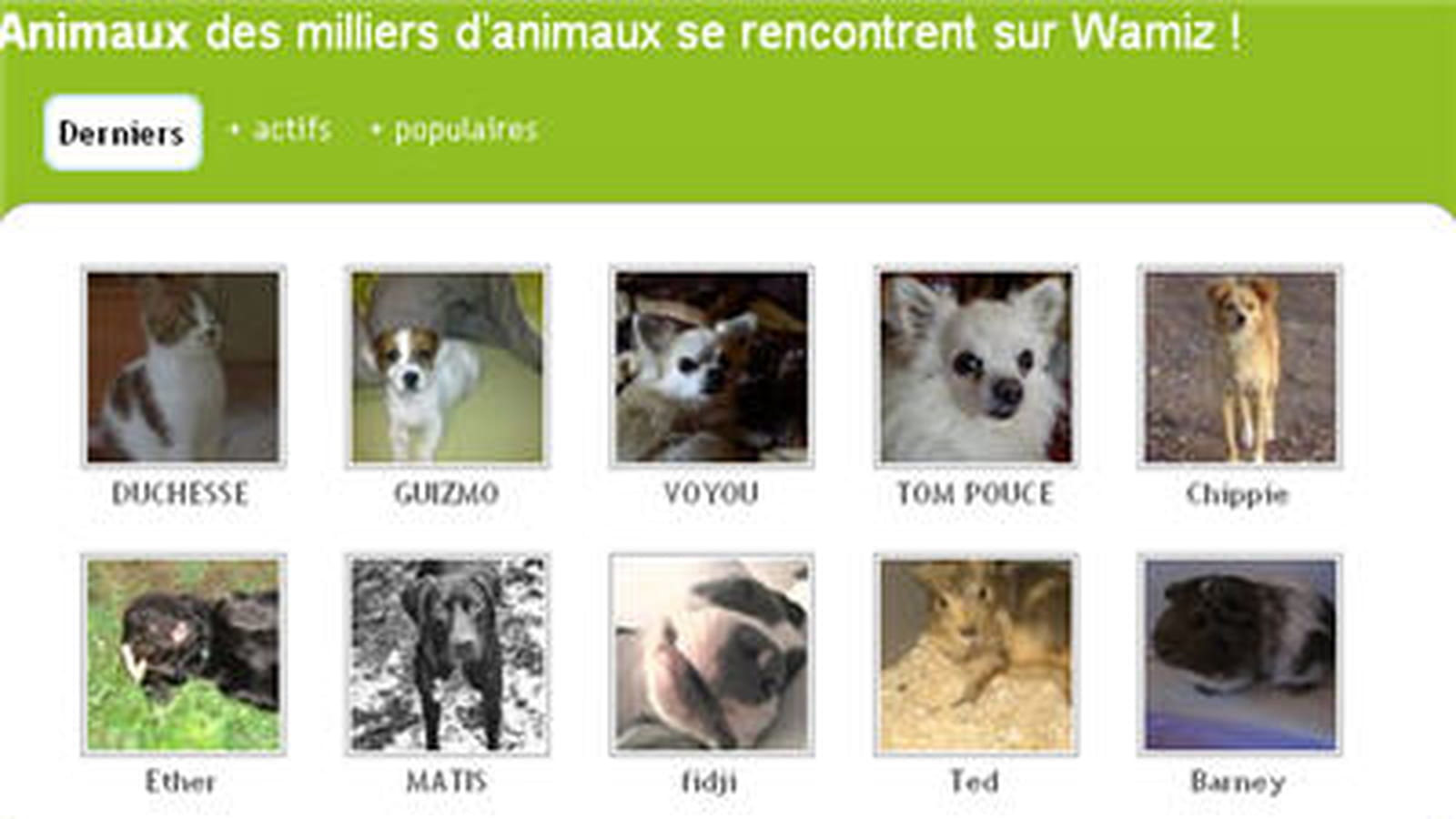 Des animaux