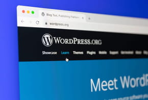 PataquÃ¨s chez WordPress : quelle mouche a piquÃ© le CMS ?