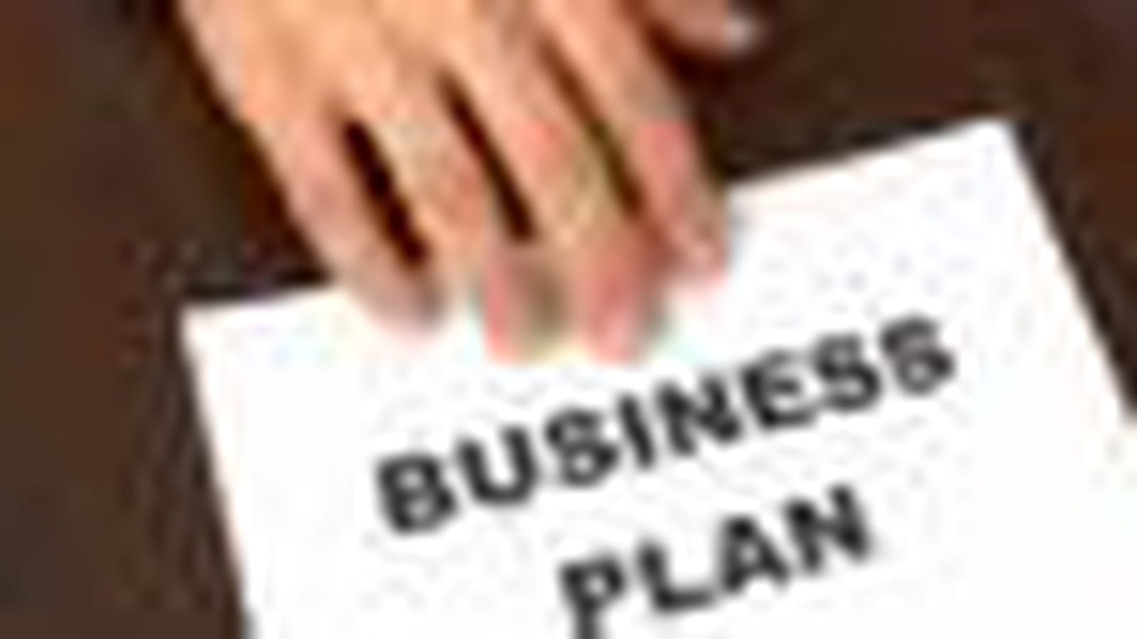 Business plan
