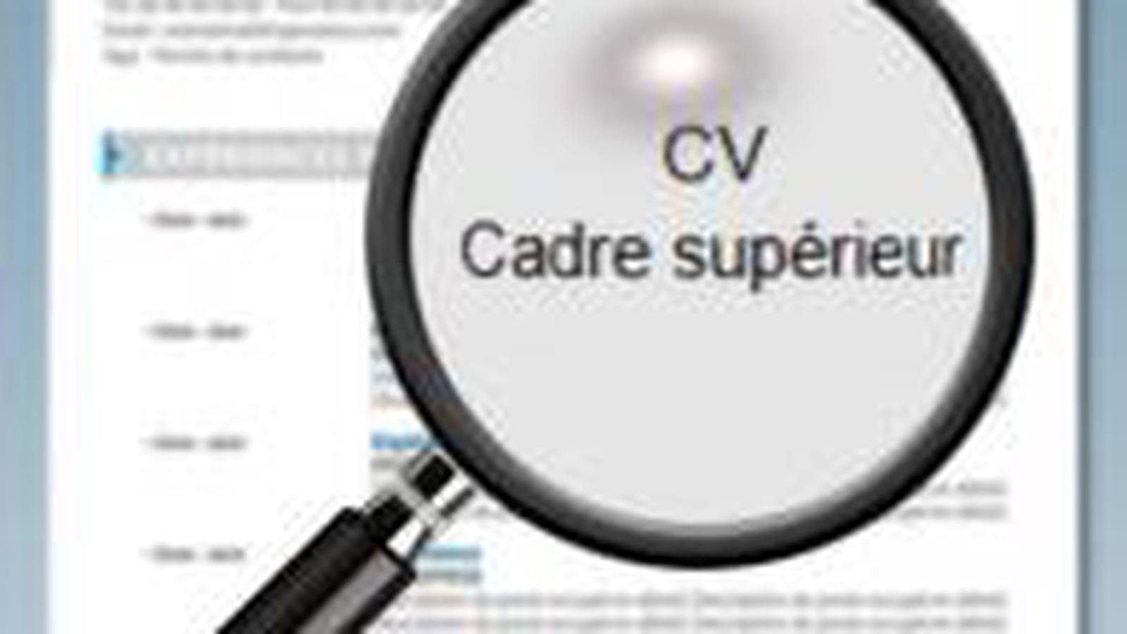 CV standard