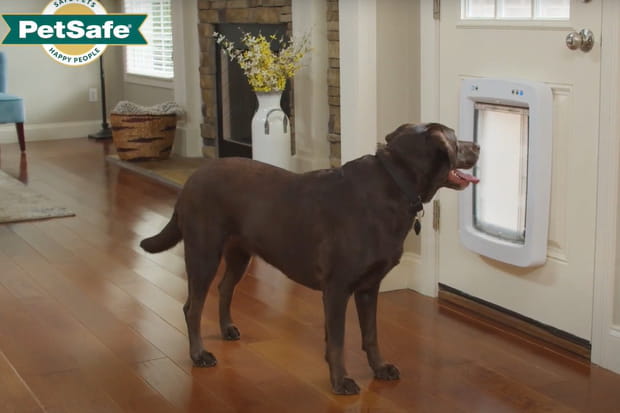 La porte Smartdoor contrôle les allées et venues de vos animaux