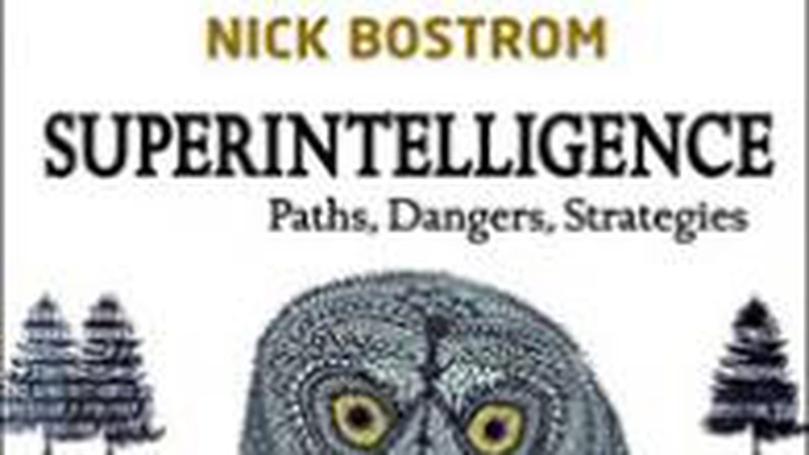 "Superintelligence :Paths, Dangers, Strategies", Nick Bostrom