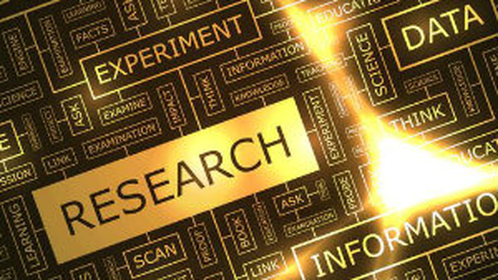 Data Scientist