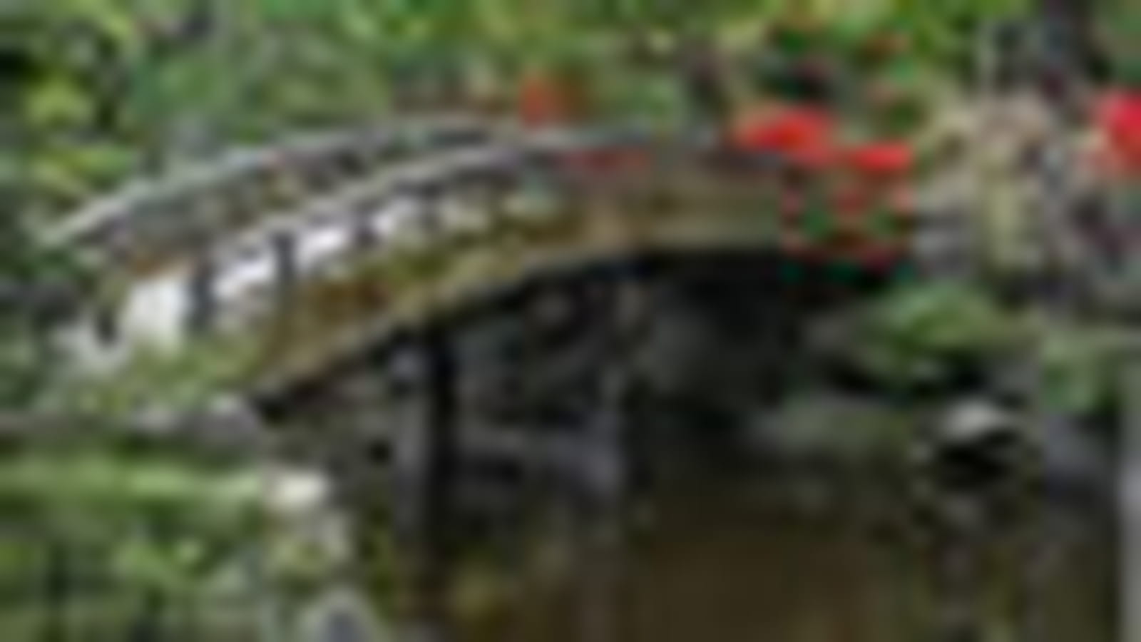 Japon