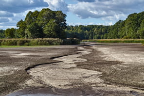 Monique Barbut propose de mobiliser 10&nbsp;milliards d'euros du Livret A pour l'adaptation au changement climatique