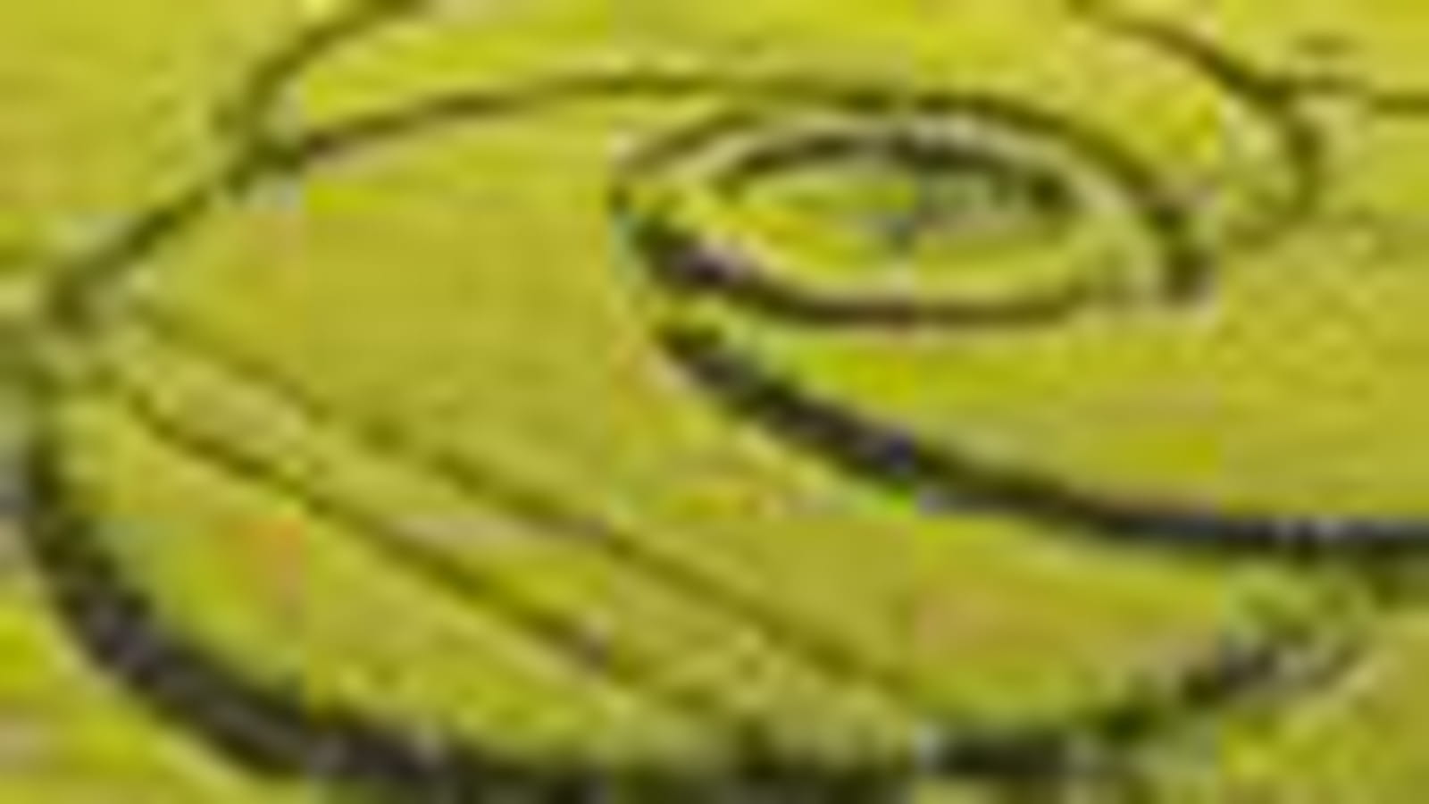 Crop circle