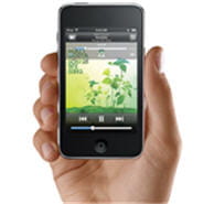 l'ipod touch, un modèle d'ergonomie et de fonctionnalités
