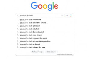 Comment se servir de Google Suggest pour appara&icirc;tre dans les IA&nbsp;?