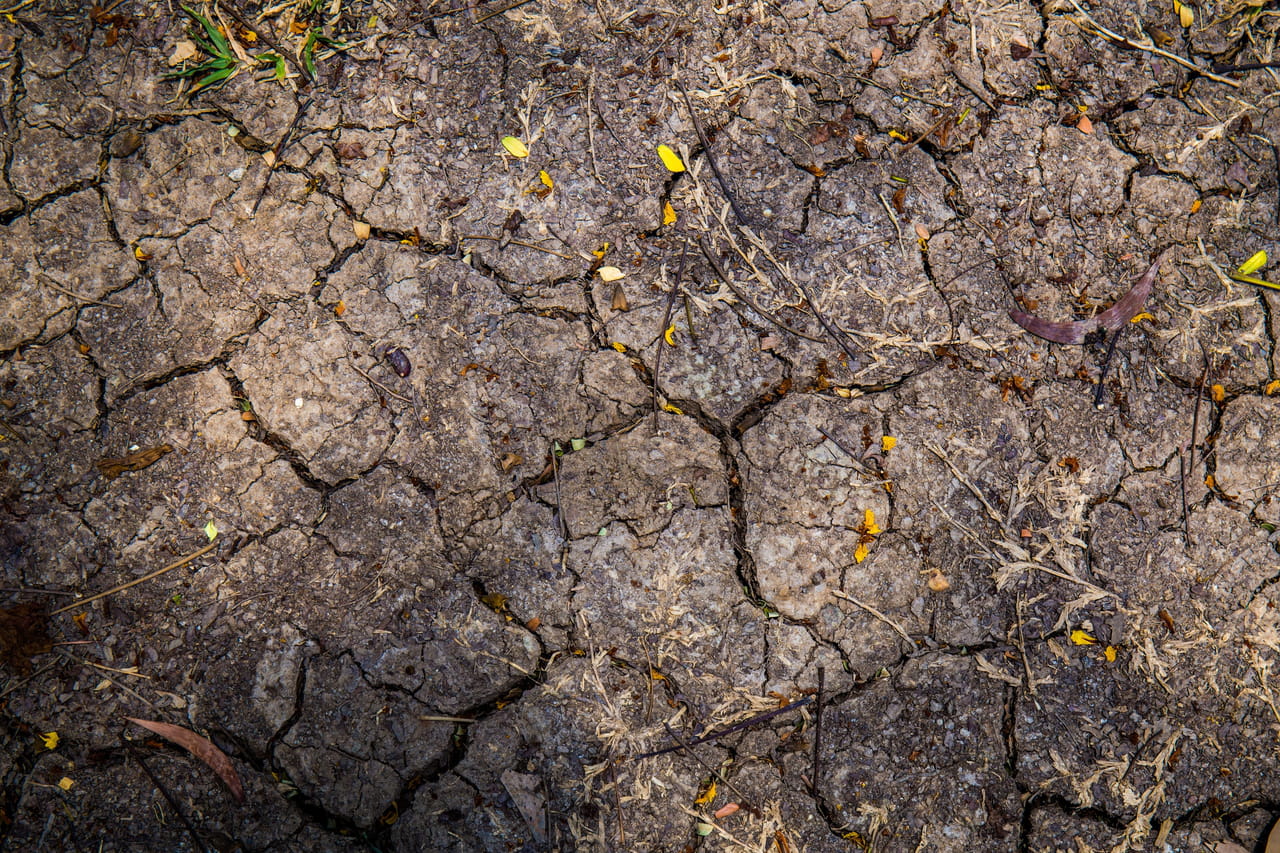 Les trois vagues de canicule en France en 2026 font peser un risque baissier sur la croissance