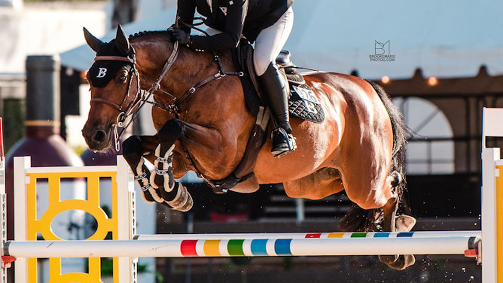 Sport : Mesurer avec Seaver vos performances en équitation