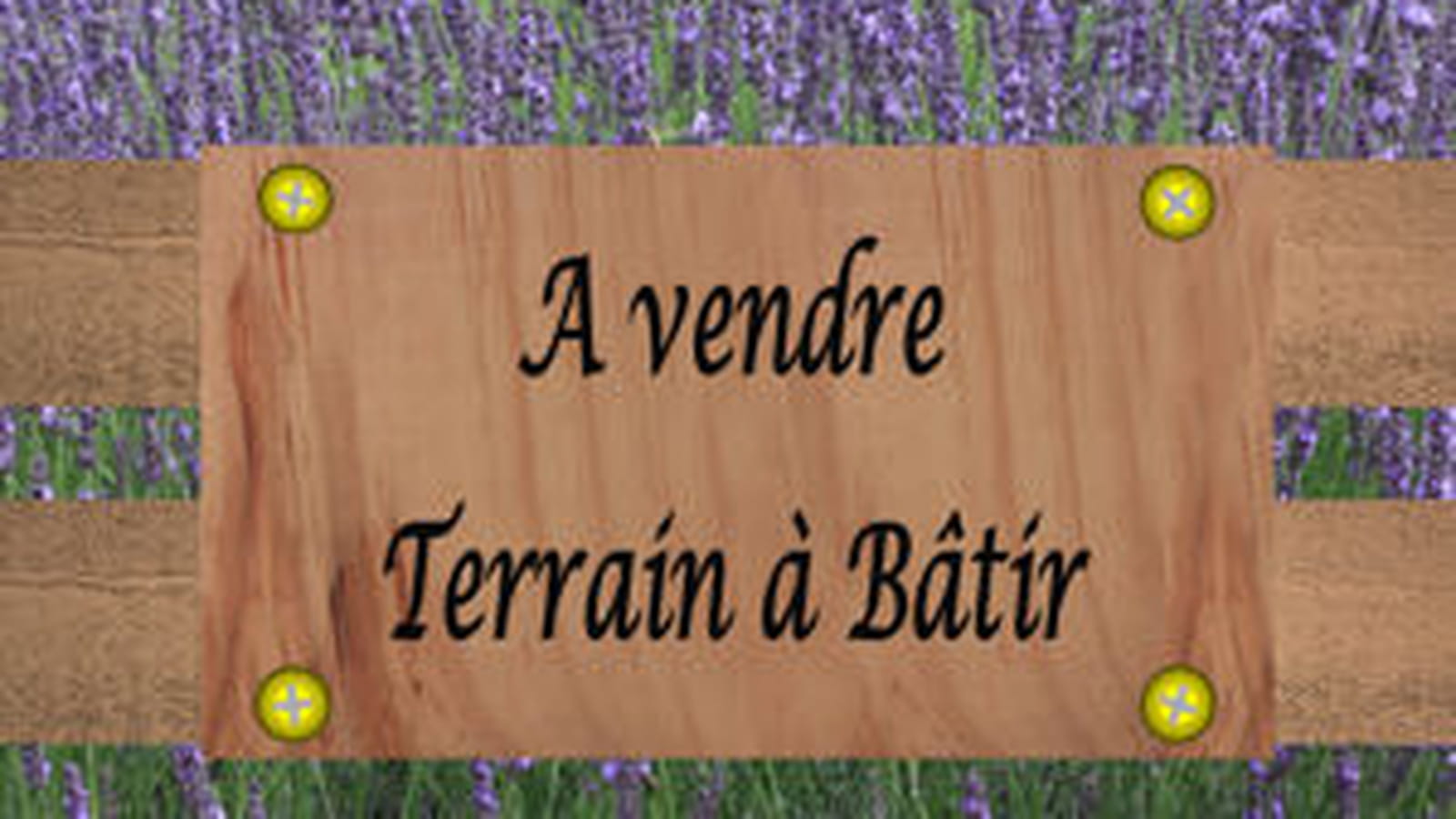 Terrains à bâtir