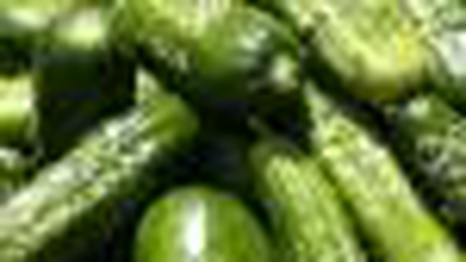 cornichon