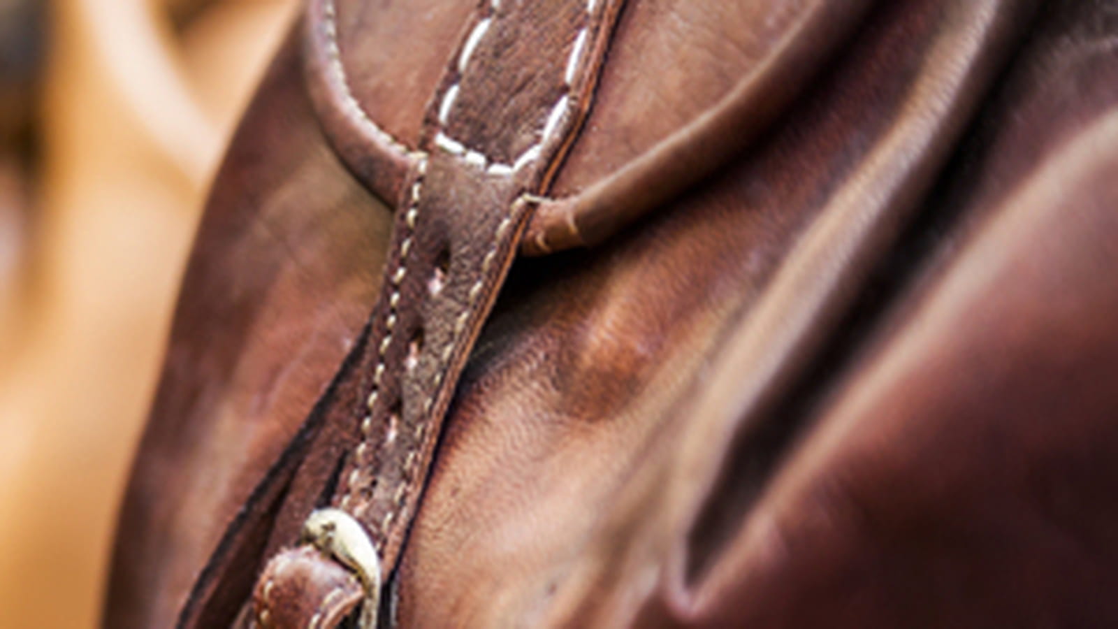 Le sac