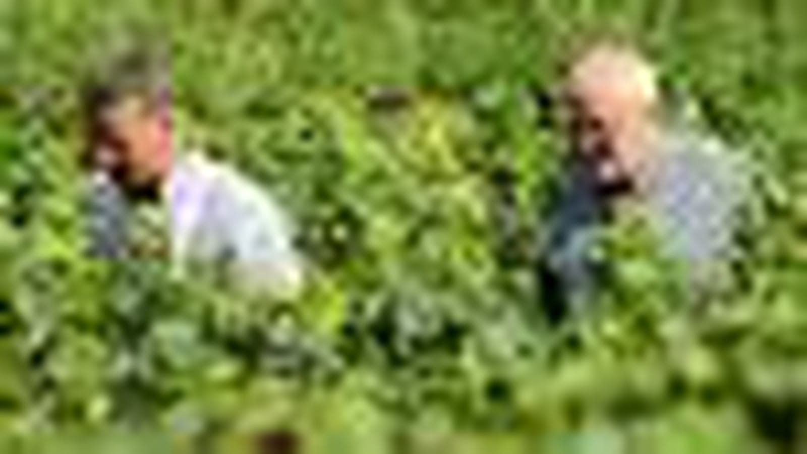 François Feuillet