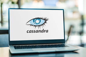 Cassandra&nbsp;: ma&icirc;triser la base NoSQL orient&eacute;e colonnes