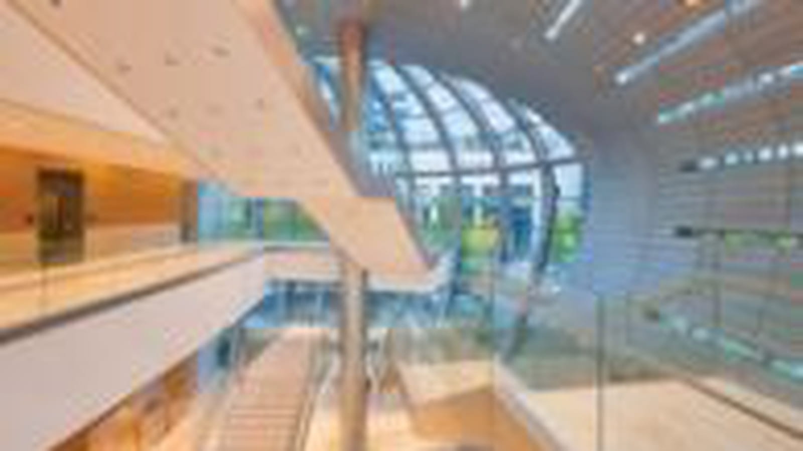 Bureaux dingues