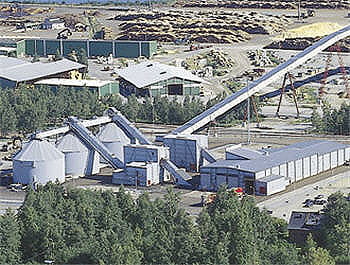 les finlandais tirent profit de la générosité de la nature.