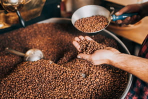 &quot;M&eacute;tal, &eacute;corce, cailloux, insectes&quot;&nbsp;: voici ce que cachent des industriels dans votre caf&eacute; et que vous buvez sans le savoir