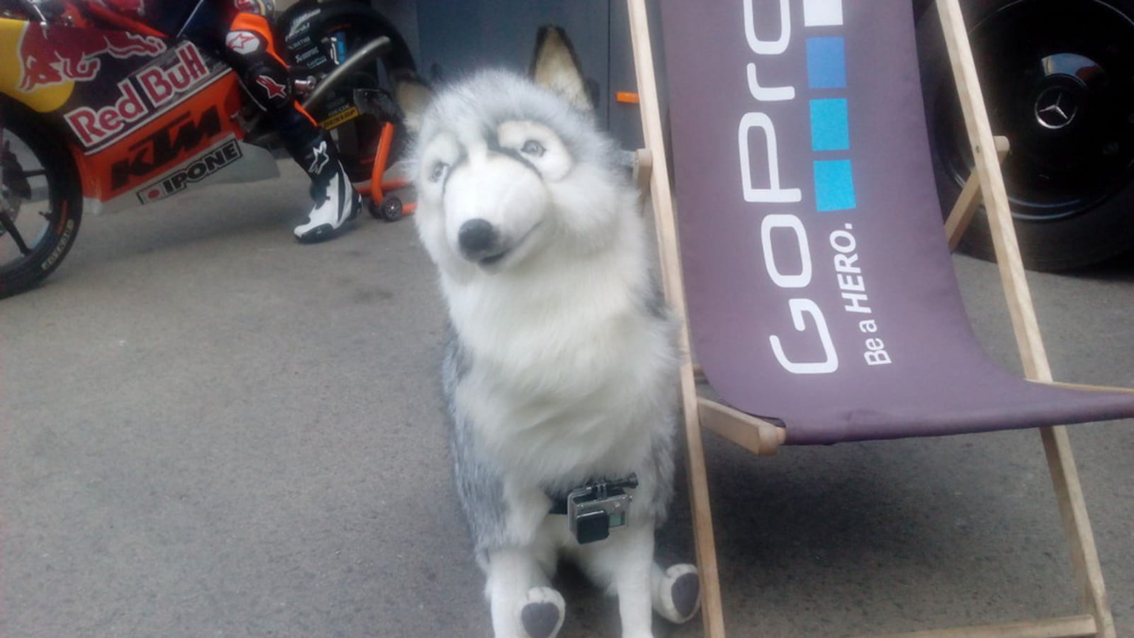 GoPro 