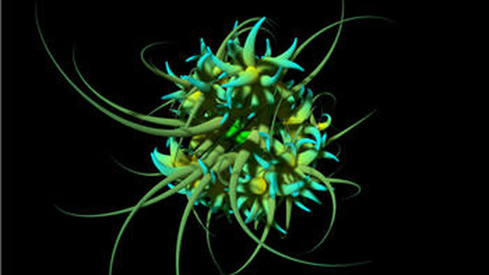 Ver et virus