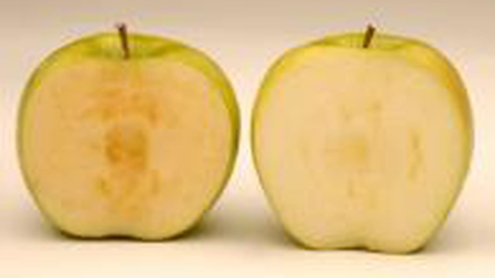 Pomme qui ne brunit pas