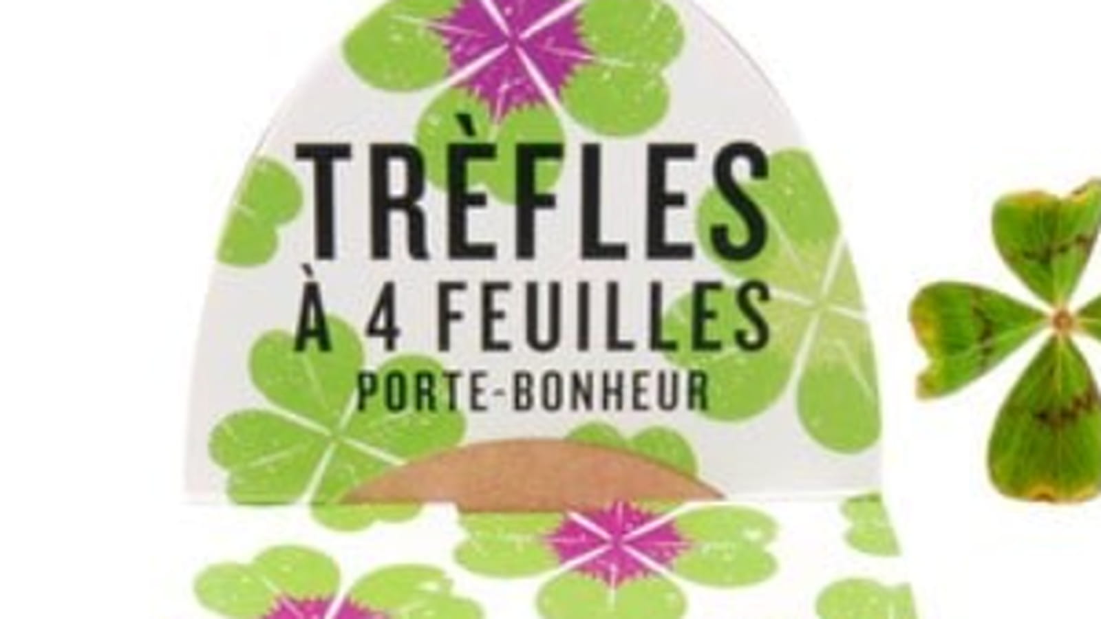 Trèfle à quatre feuilles