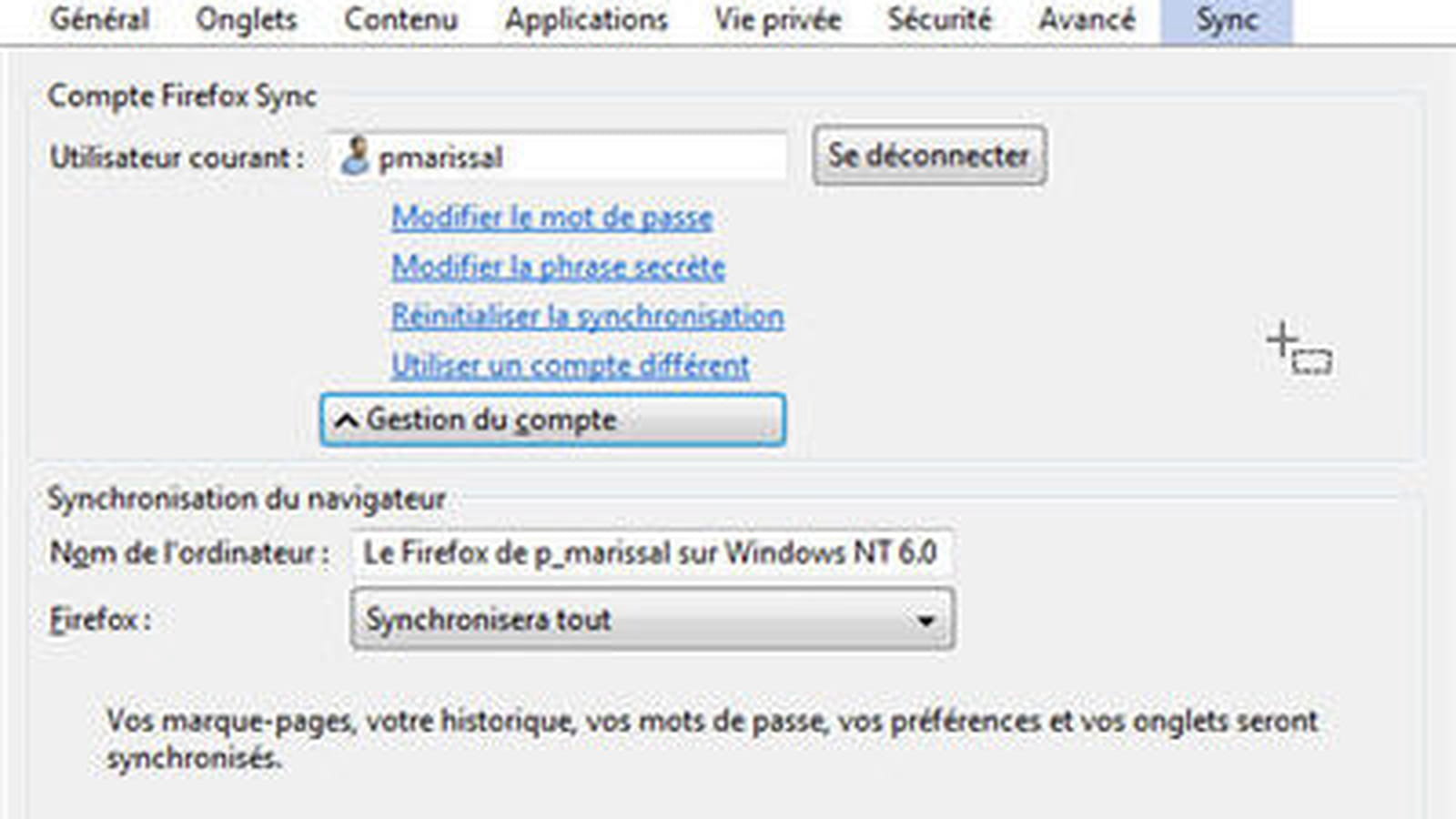 Son Firefox partout