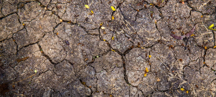 Les trois vagues de canicule en France en 2026&nbsp;font peser un risque baissier sur la croissance