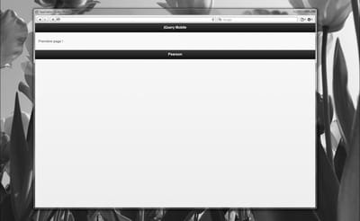 figure 1.1 - la première page dans safari.